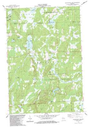 Blockhouse Lake USGS topographic map 45090h3