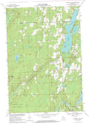 Butternut Lake USGS topographic map 45090h5