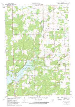 Ladysmith SE USGS topographic map 45091c1