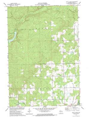 Becky Creek USGS topographic map 45091e3