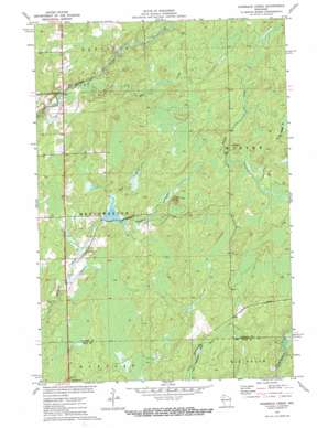 Hogsback Creek USGS topographic map 45091f1