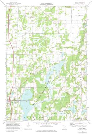 Stacy USGS topographic map 45092d8