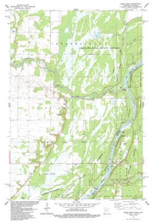 Bass Creek USGS topographic map 45092g7