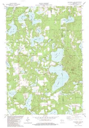 McKenzie Lake USGS topographic map 45092h1