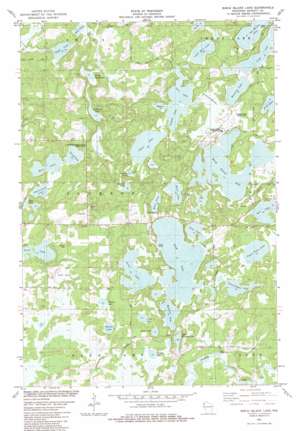 Birch Island Lake USGS topographic map 45092h2