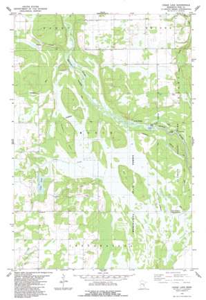 Cedar Lake USGS topographic map 45092h7