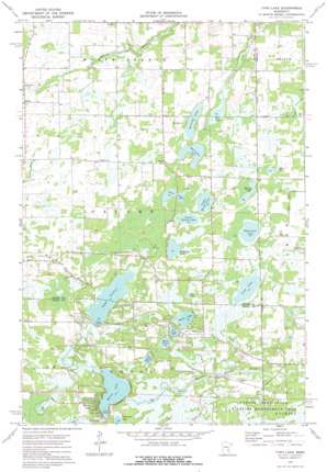 Typo Lake USGS topographic map 45093d1