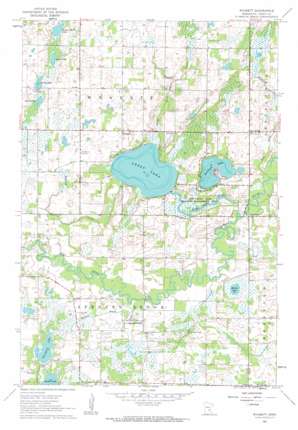 Wyanett USGS topographic map 45093e4