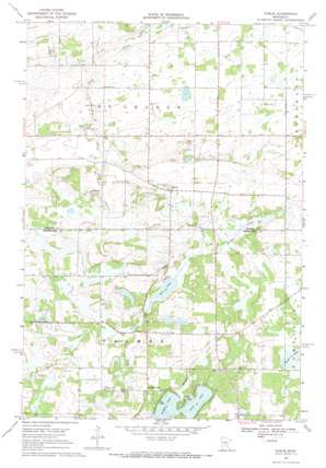 Duelm USGS topographic map 45093e8
