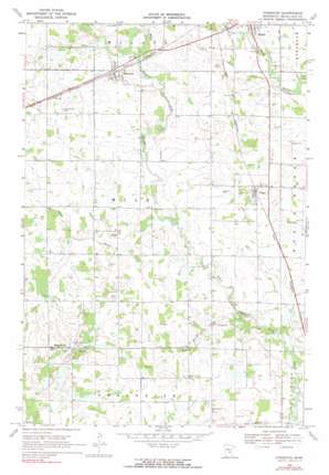 Foreston USGS topographic map 45093f6