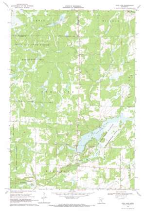 Ann Lake USGS topographic map 45093h4