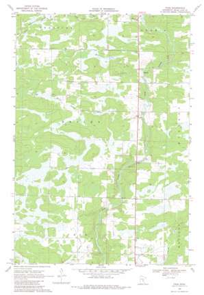 Page USGS topographic map 45093h6