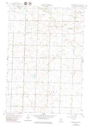 Kerkhoven Sw USGS topographic map 45095a4