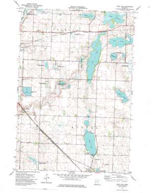Page Lake USGS topographic map 45095e7