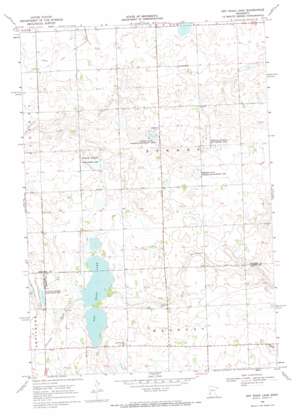 Dry Wood Lake USGS topographic map 45096d1