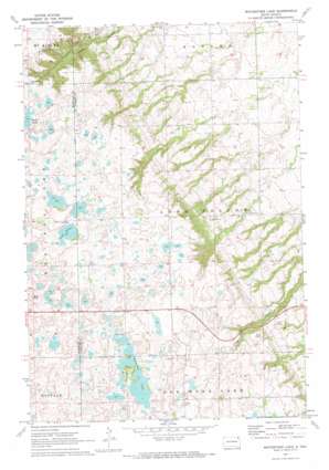 Whitestone Lake USGS topographic map 45097f2