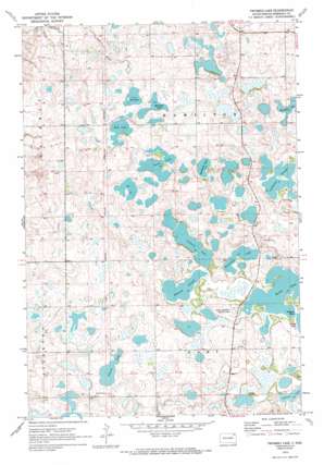 Twomile Lake USGS topographic map 45097f5