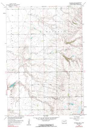 Britton 4 Nw USGS topographic map 45097f6