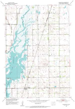 Houghton USGS topographic map 45098g2