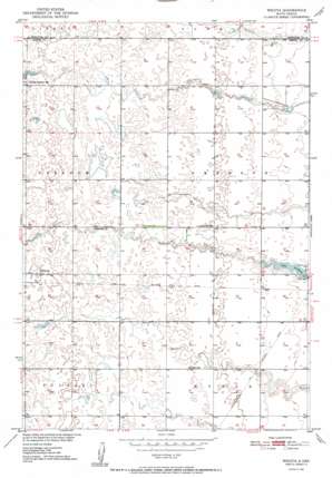 Wecota USGS topographic map 45099b1