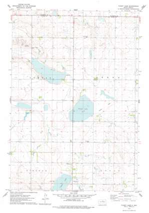 Flight Lake USGS topographic map 45099b8