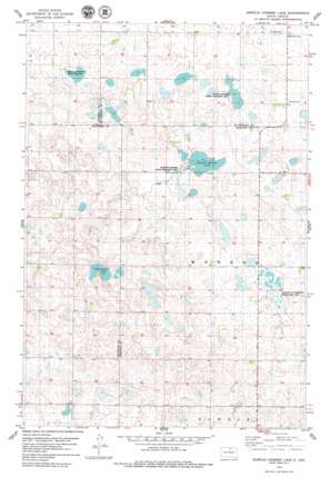 Bowdle-Hosmer Lake USGS topographic map 45099e6