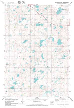Plainview Colony Nw USGS topographic map 45099f2