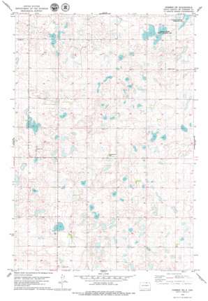 Hosmer NE USGS topographic map 45099f3