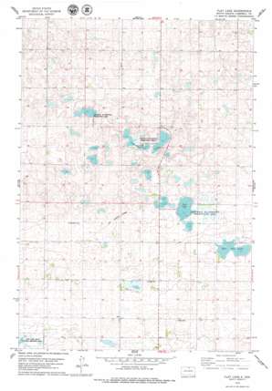 Flat Lake USGS topographic map 45099f7