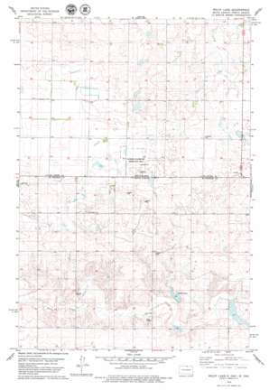 Wolff Lake USGS topographic map 45099h4