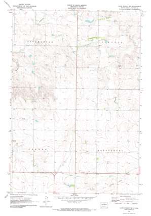 Lake Hurley Se USGS topographic map 45100a1