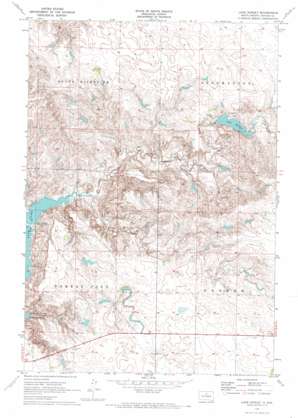 Lake Hurley USGS topographic map 45100a2