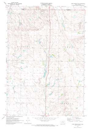 Lake Hurley NE USGS topographic map 45100b1