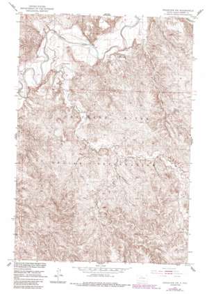 Ridgeview NW USGS topographic map 45100b8