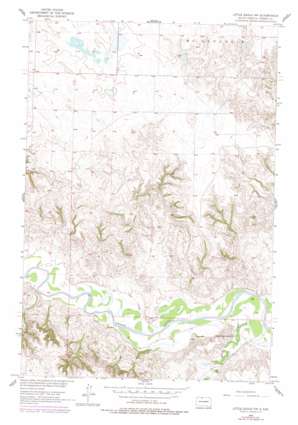 Little Eagle Nw topo map