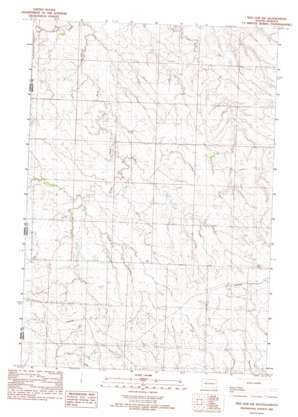 Red Elm SW USGS topographic map 45101a8