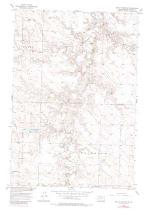 Black Horse SE USGS topographic map 45101e3