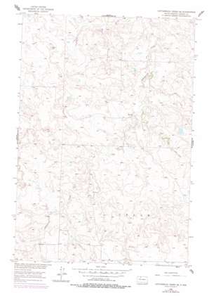 Cottonwood Creek SE USGS topographic map 45101e5