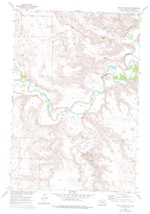Black Horse NE USGS topographic map 45101f3