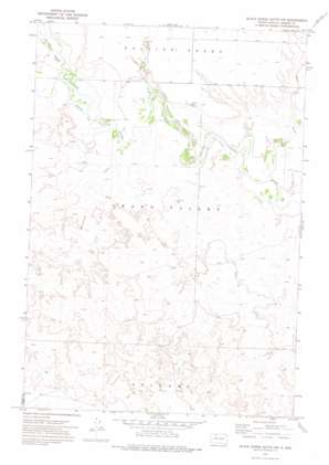 Black Horse Butte Nw topo map