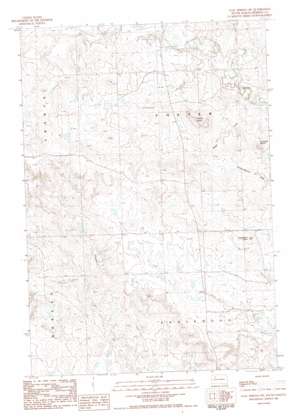 Coal Springs SW USGS topographic map 45102c2