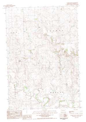 Sunrise Butte USGS topographic map 45102c3