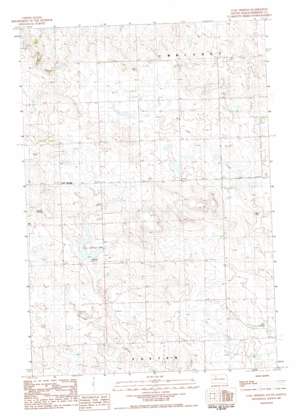 Coal Springs USGS topographic map 45102d1