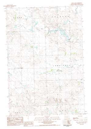 Owen Lake USGS topographic map 45102d4