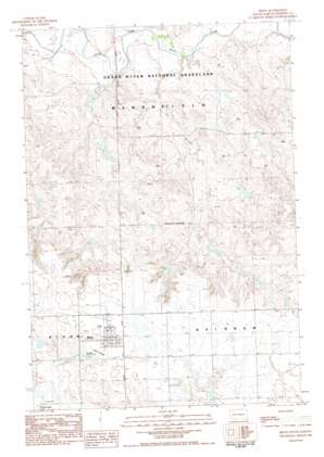 Bison USGS topographic map 45102e4