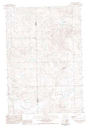 White Hill USGS topographic map 45102e8