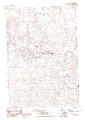 Meadow NE USGS topographic map 45102f1