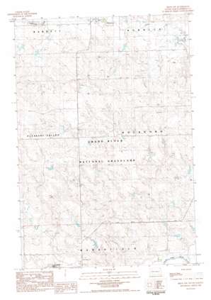 Bison NW USGS topographic map 45102f4