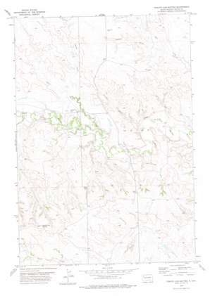 Tomato Can Buttes USGS topographic map 45103a1