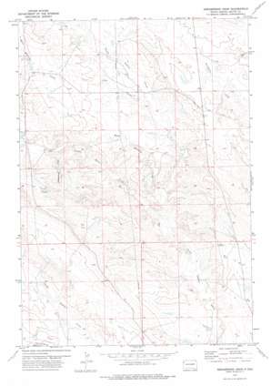 Greasewood Draw USGS topographic map 45103a8